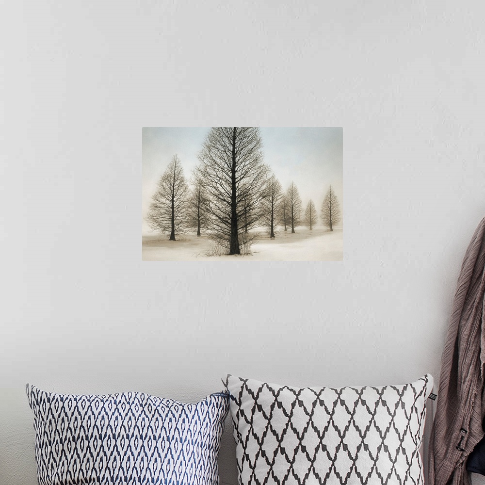 A bohemian room featuring Dawn Redwoods Large