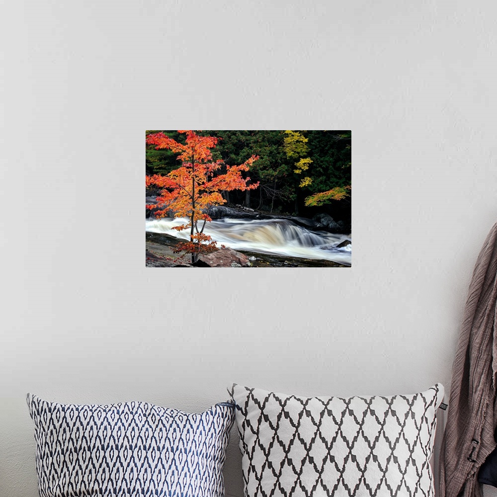 A bohemian room featuring A photograph of Lower Rosseau Falls in  Ontario during fall.