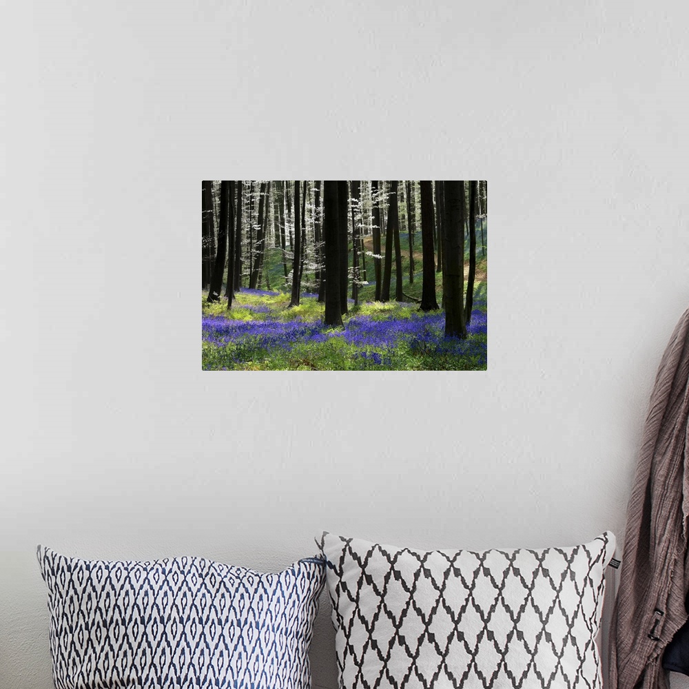 A bohemian room featuring A photograph of an idyllic dense forest scene with purple flowers on the ground.