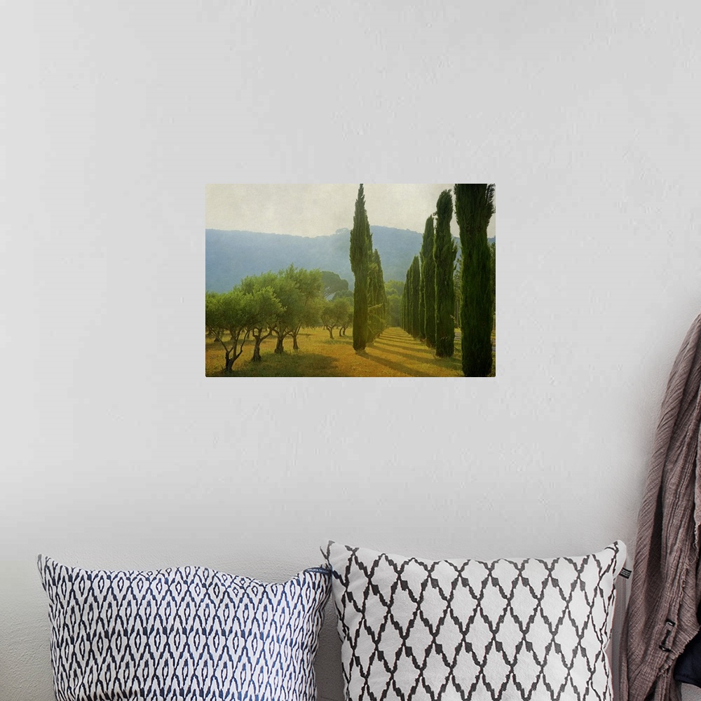 A bohemian room featuring A photograph of an idyllic countryside scene, with late afternoon light hitting cypress trees and...