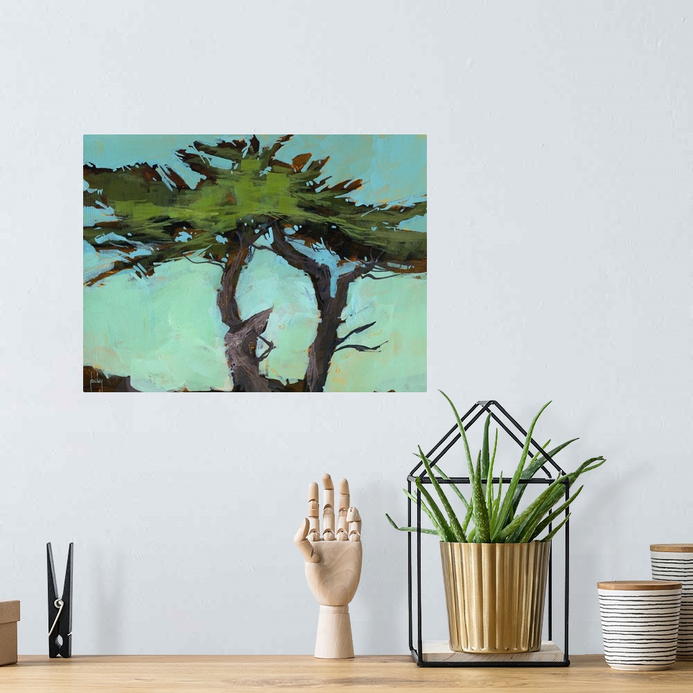 A bohemian room featuring Cypresses