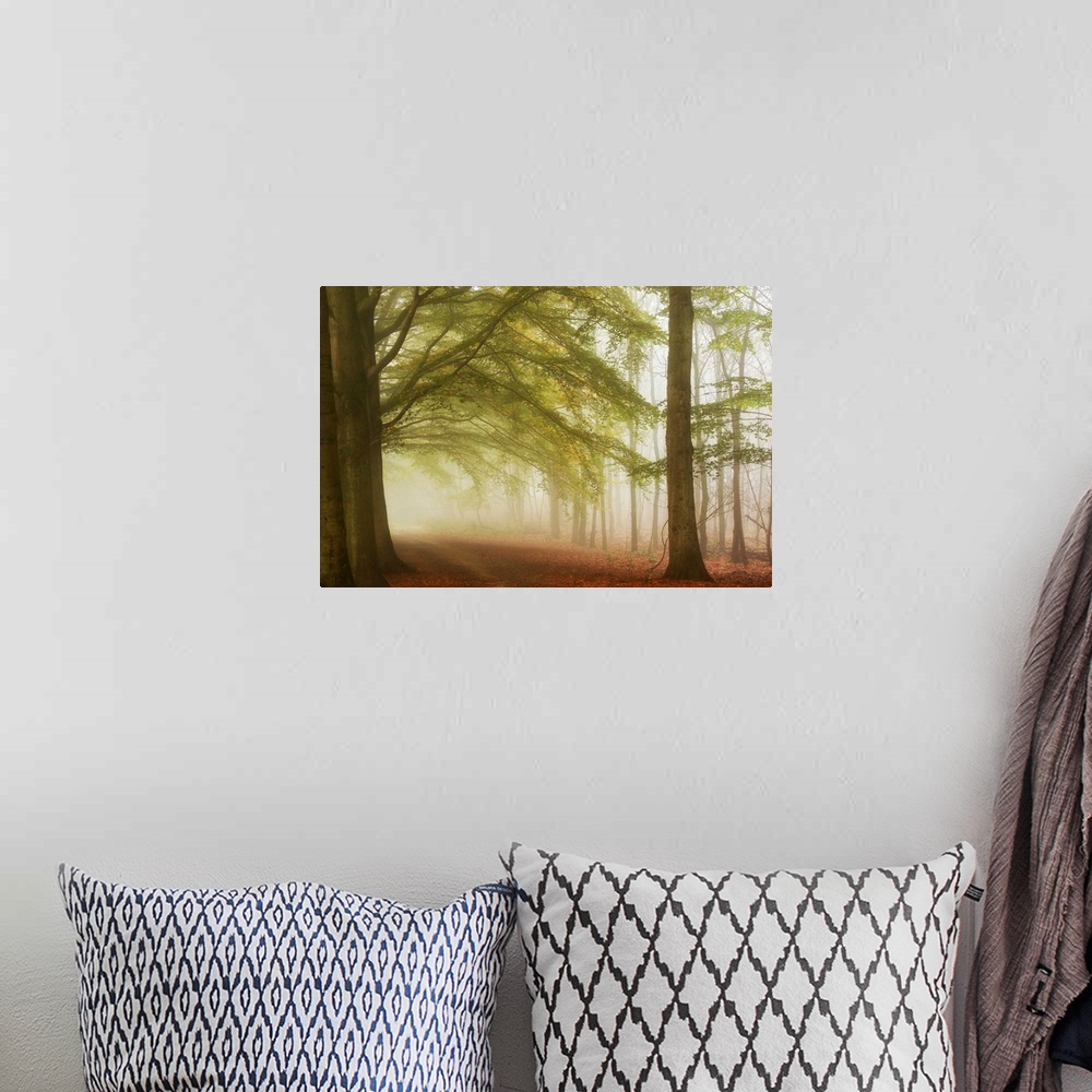 A bohemian room featuring A dreamy photograph of path through a forest consumed with mist.