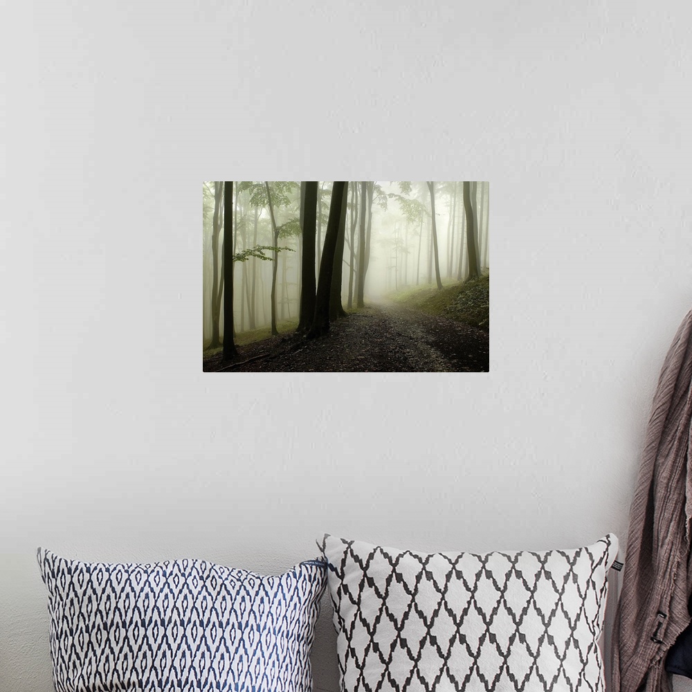 A bohemian room featuring A horizontal photograph of a graveled path through a forest covered in mist.