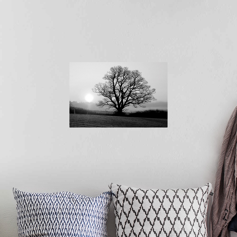 A bohemian room featuring A black and white image of a single large tree in a meadow.