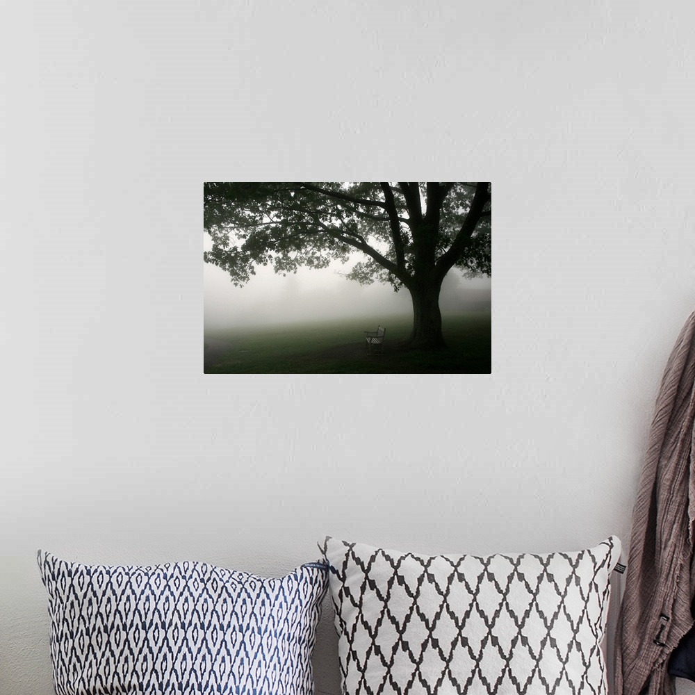 A bohemian room featuring A horizontal photograph of a bench under a tree in the mist.