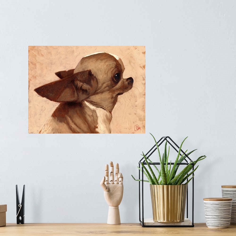 A bohemian room featuring Profile - Chihuahua