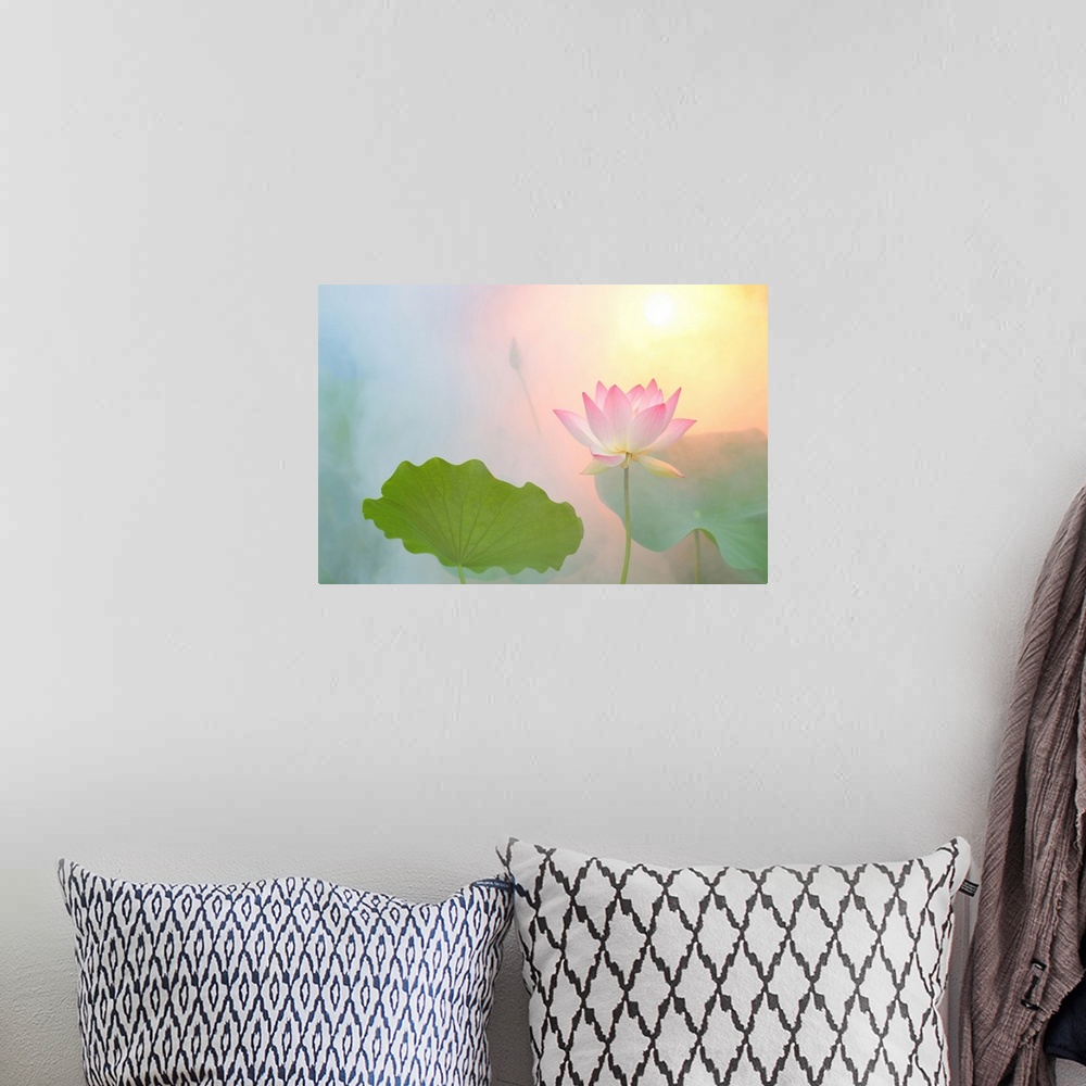A bohemian room featuring A soft pastel colored photograph of a pink flower.