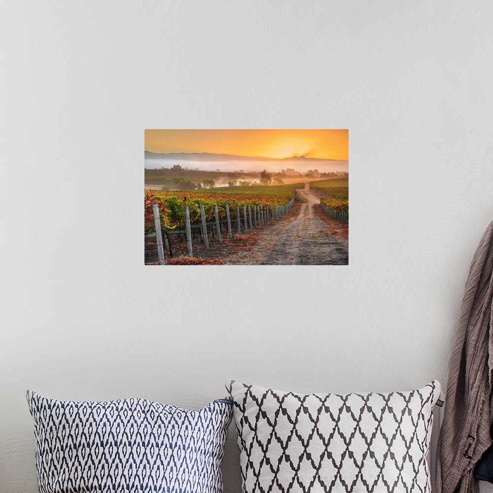 A bohemian room featuring Vineyard Sunrise