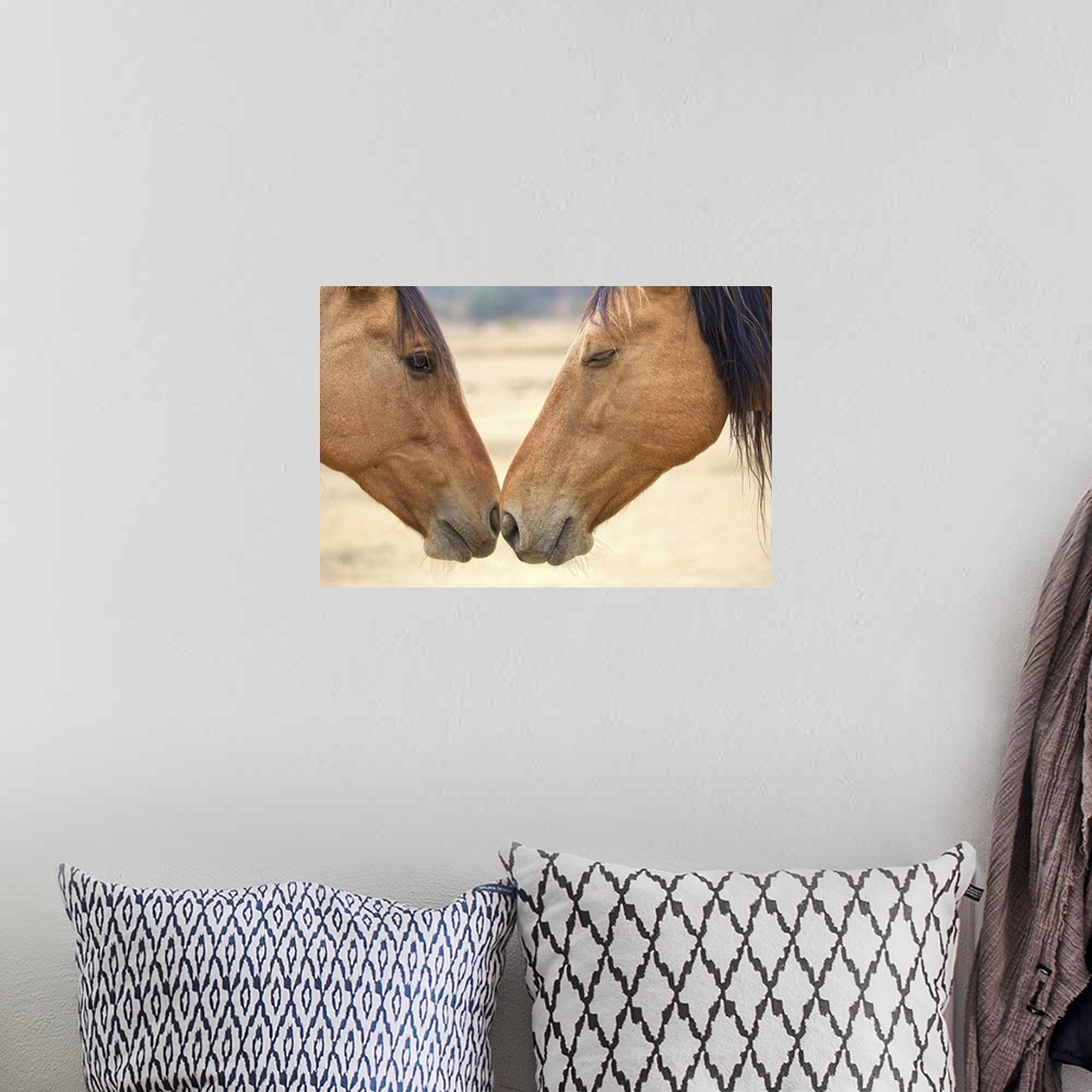 A bohemian room featuring Two wild horses touching noses.