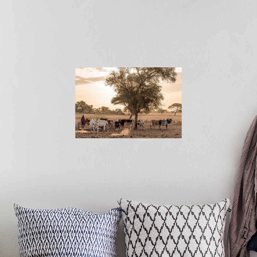 A bohemian room featuring Africa, Senegal. Sunrise In A Fulani Village, Cattle Going Out