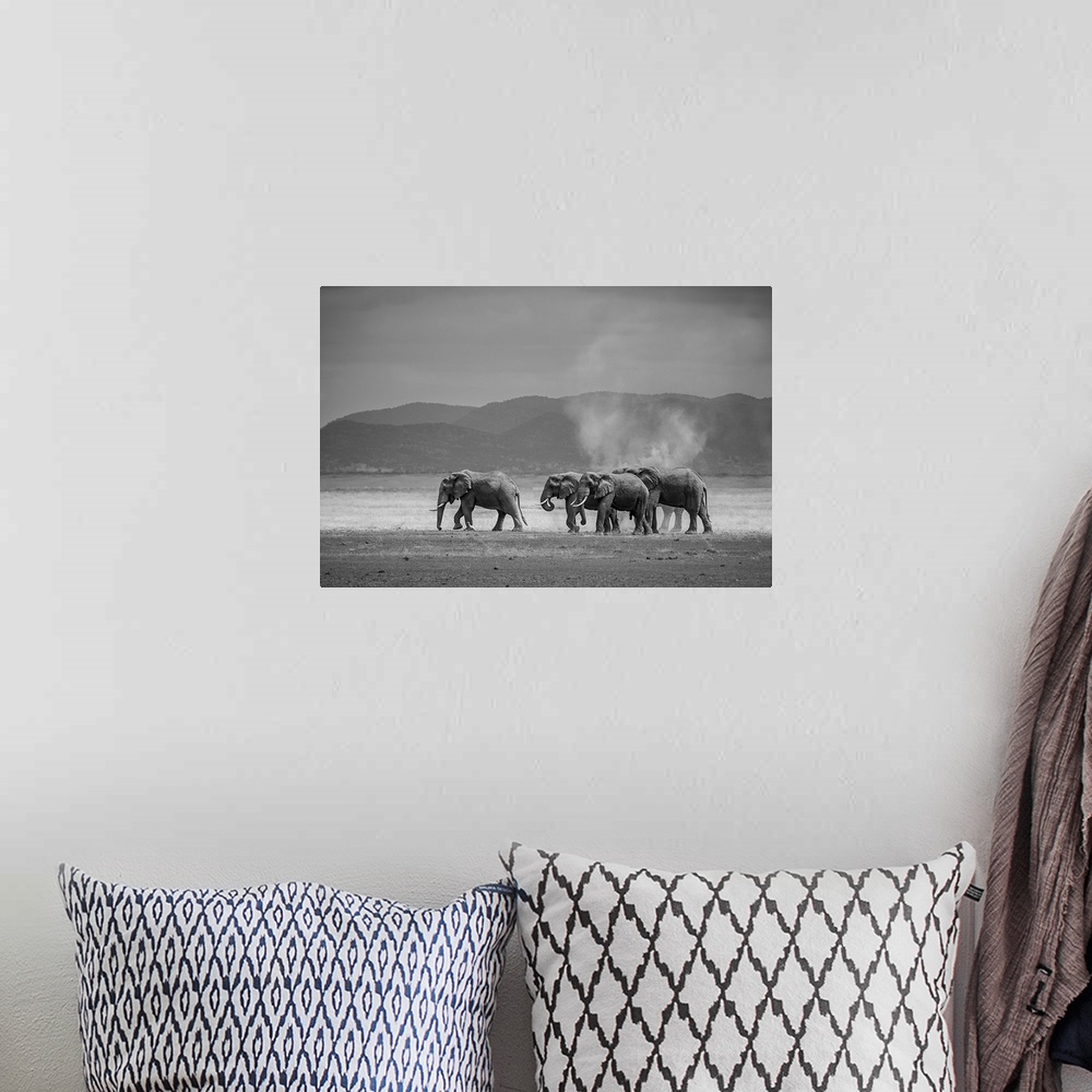 A bohemian room featuring Amboseli Park, Kenya, Africa A family of elephants in Amboseli Kenya.