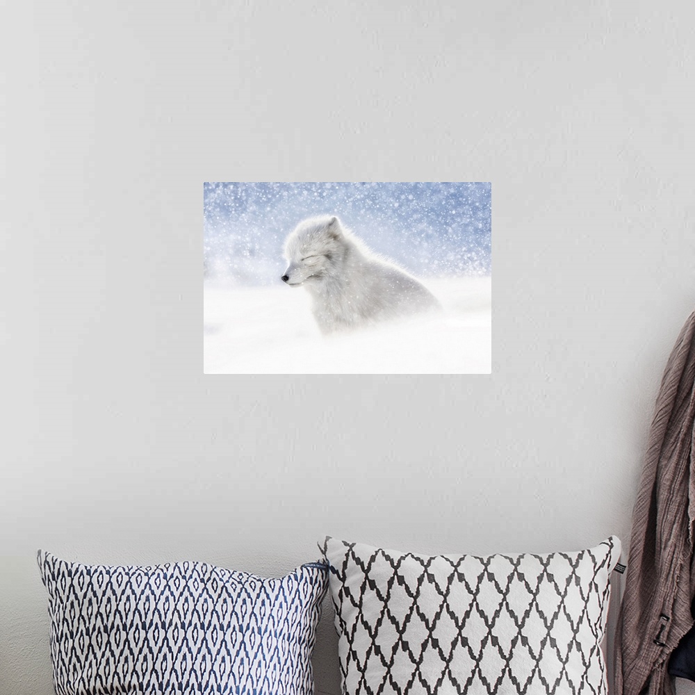 A bohemian room featuring Arctic fox (Alopex lagopus) in heavy snowfall, in the abandoned Russian settlement of Pyramiden, ...
