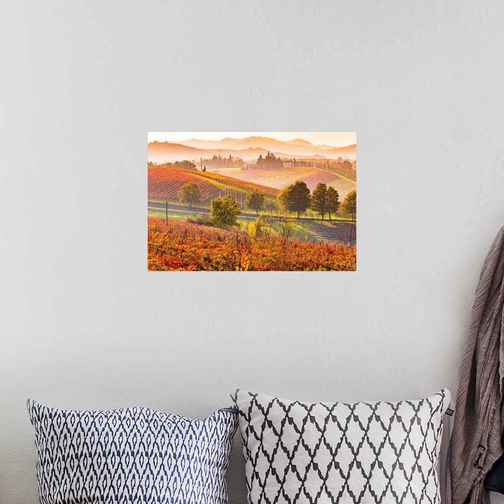 A bohemian room featuring Castelvetro, Modena, Emilia Romagna, Italy. Sunset over the Lambrusco Grasparossa vineyards and r...