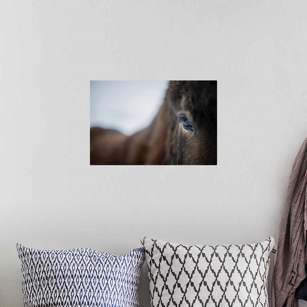 A bohemian room featuring Close up of a horse, Iceland