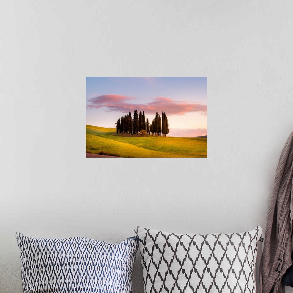 A bohemian room featuring Cypresses At Sunset In Orcia Valley. Siena District, Tuscany, Italy.