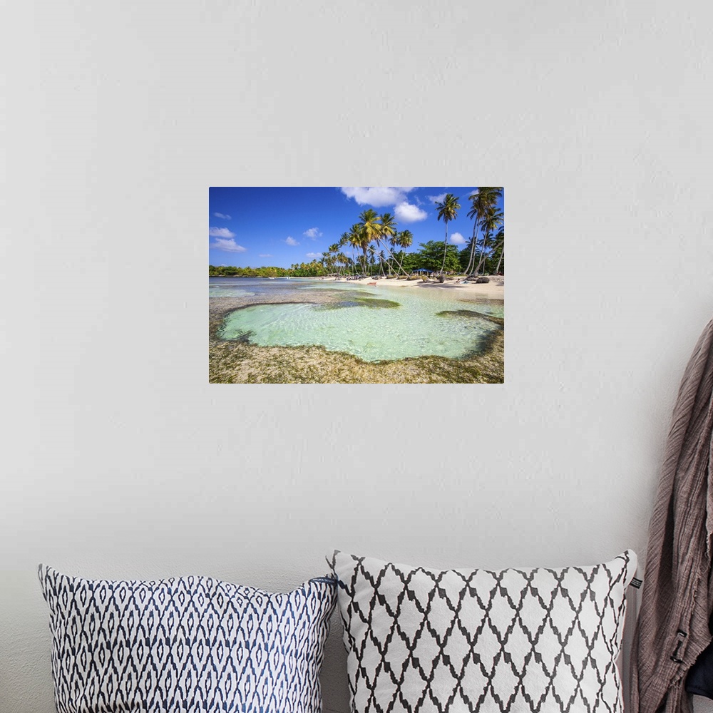 A bohemian room featuring Dominican Republic, Samana Peninsula, Las Galleras, La Playita beach