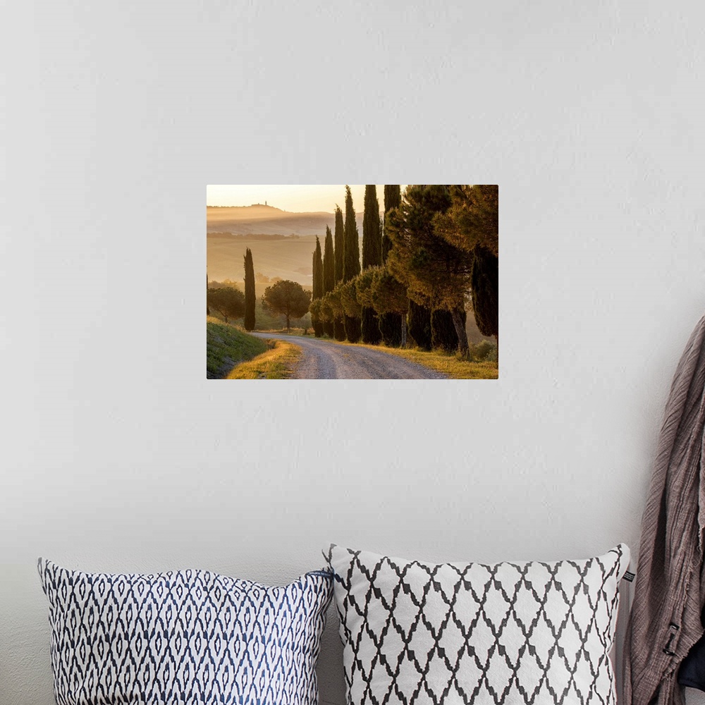 A bohemian room featuring Europe, Italy, Tuscany, Toscana,San Quirico d'Orcia, cypress alley with view to Pienza