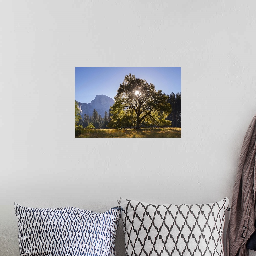 A bohemian room featuring Half Dome and Elm tree in Cooks Meadow, Yosemite Valley, California, USA. Autumn (October)
