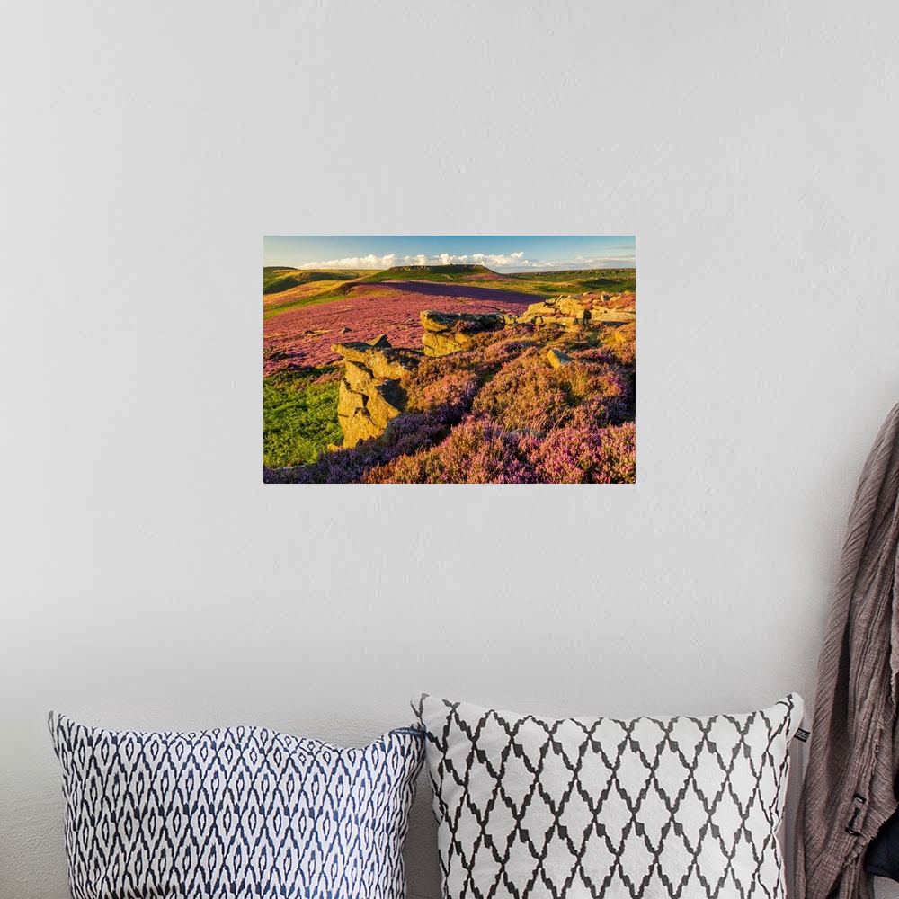A bohemian room featuring Heather In Bloom On Owler Tor, Peak District National Park, Derbyshire, England