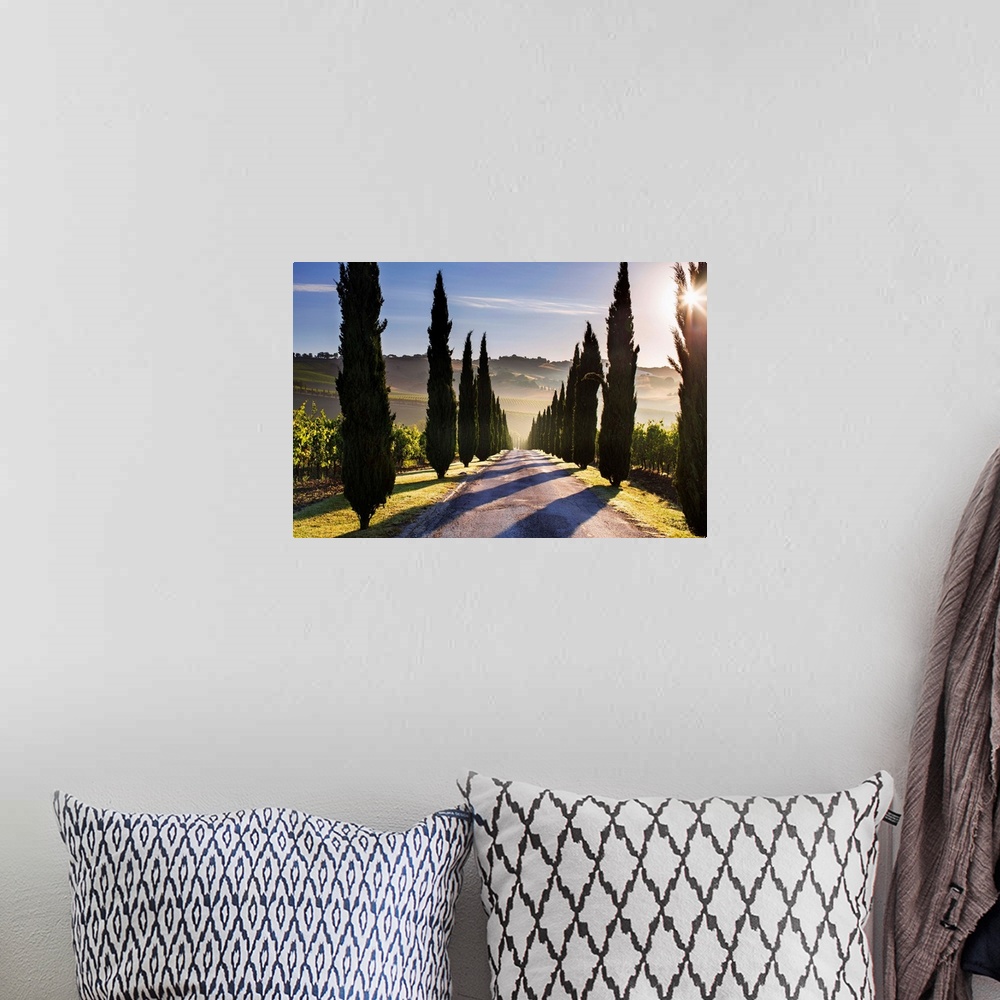 A bohemian room featuring Italy, Marche, Macerata District, Urbisglia, Typical Marche Landscape Near Urbisaglia.