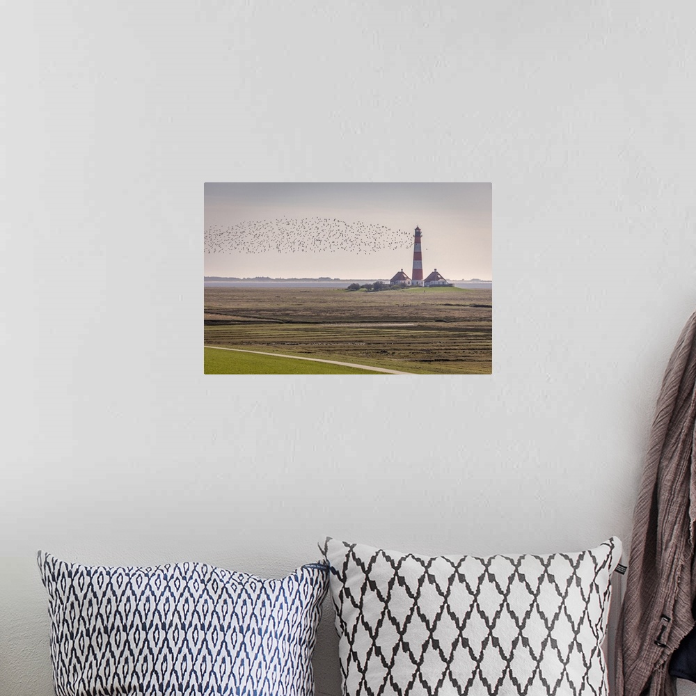 A bohemian room featuring Migratory birds at the Westerheversand lighthouse, North Friesland, Schleswig-Holstein.