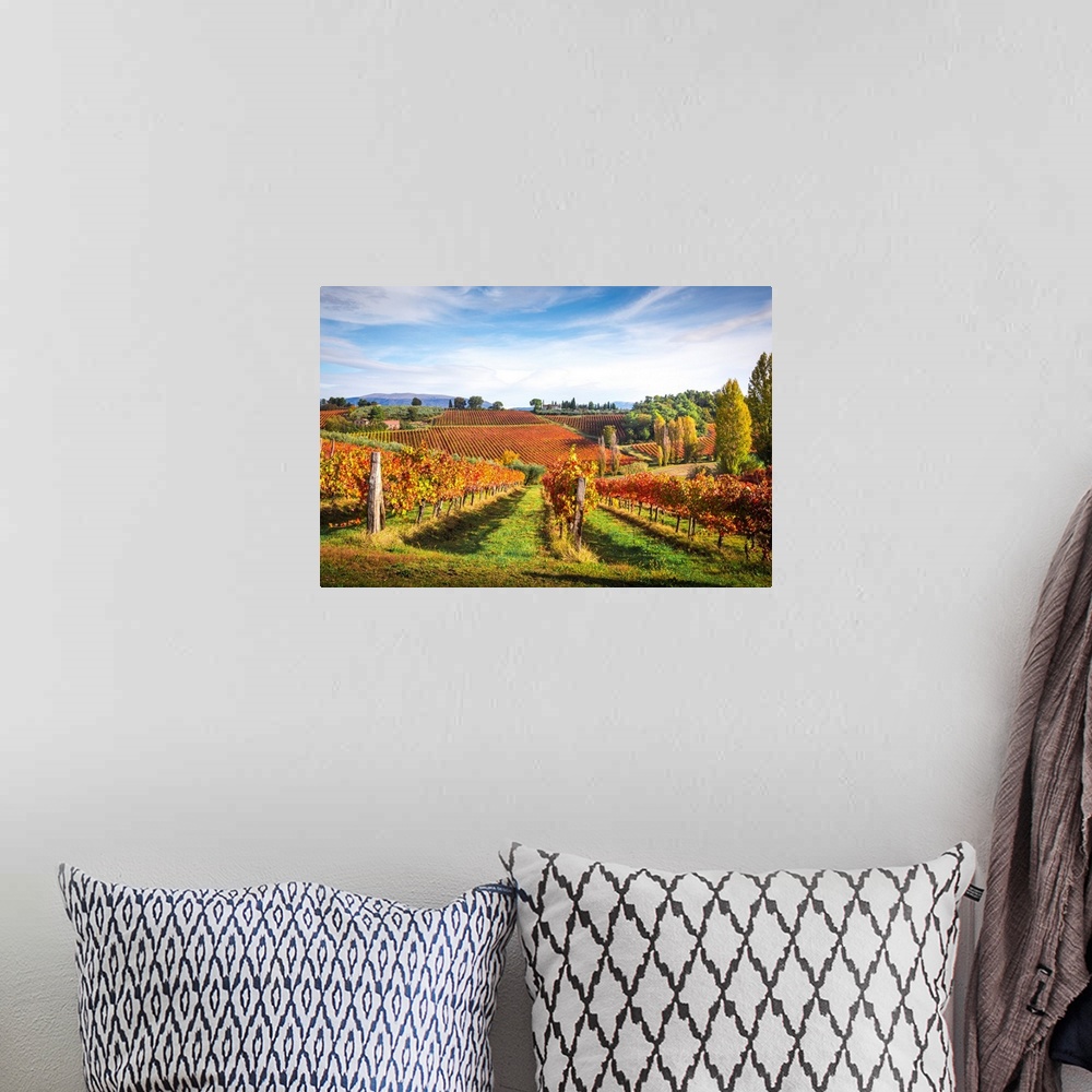 A bohemian room featuring Montefalco Sagrantino Vineyards, Montefalco, Perugia Province, Umbria, Italy.