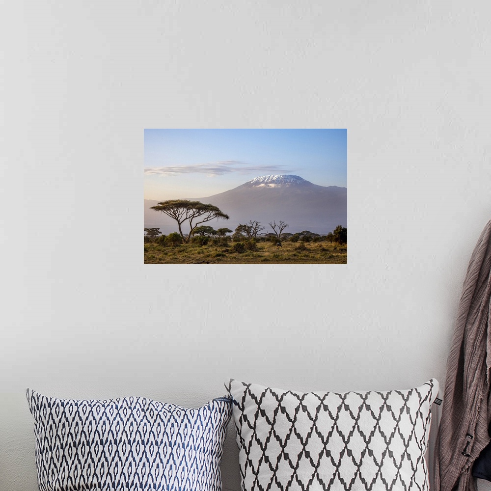 A bohemian room featuring Mount Kilimanjaro, Amboseli National Park, Kenya