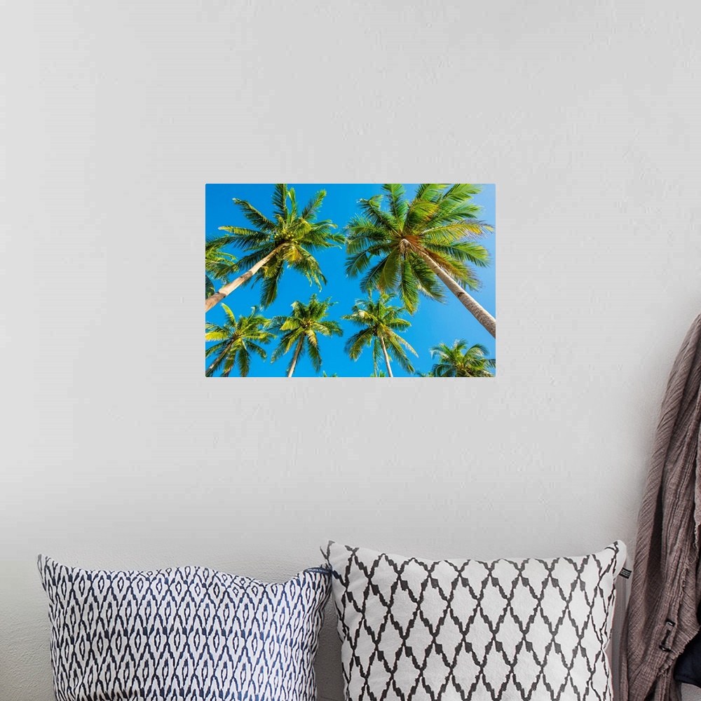 A bohemian room featuring Palm trees and blue sky, Nacpan Beach, El Nido, Palawan, Philippines.