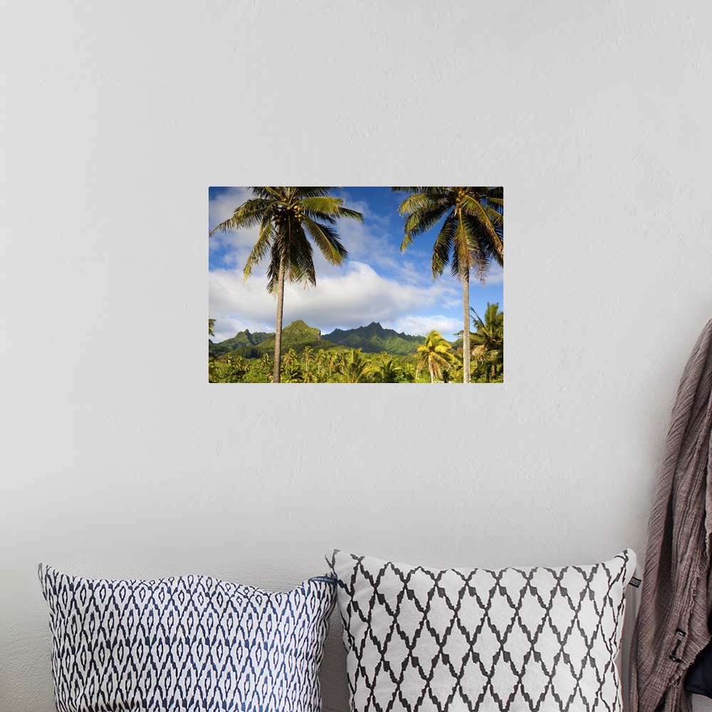 A bohemian room featuring Rarotonga, Cook Islands, South Pacific