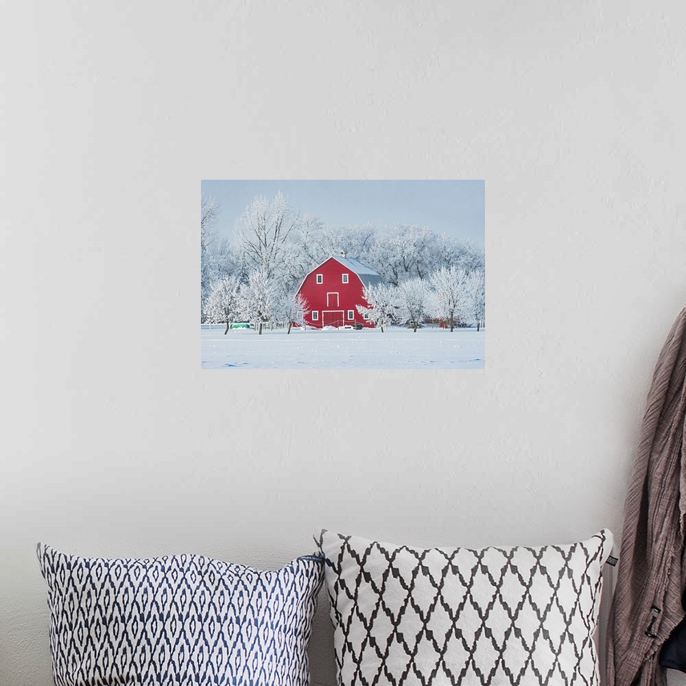A bohemian room featuring Red Barn With Rime Ice, Grande Pointe Manitoba, Canada