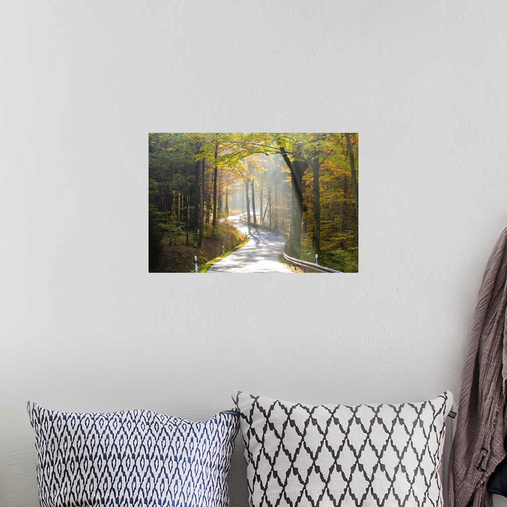 A bohemian room featuring Road through autumn woodland, Saxon Switzerland, Saxony, Germany