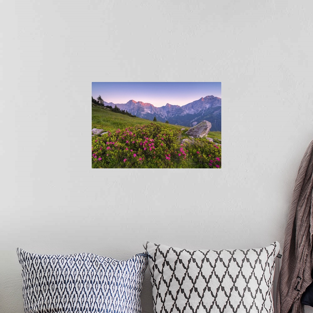 A bohemian room featuring Summer season in Orobie alps, Zulino pass in Lombardy district, Bergamo province, Italy.