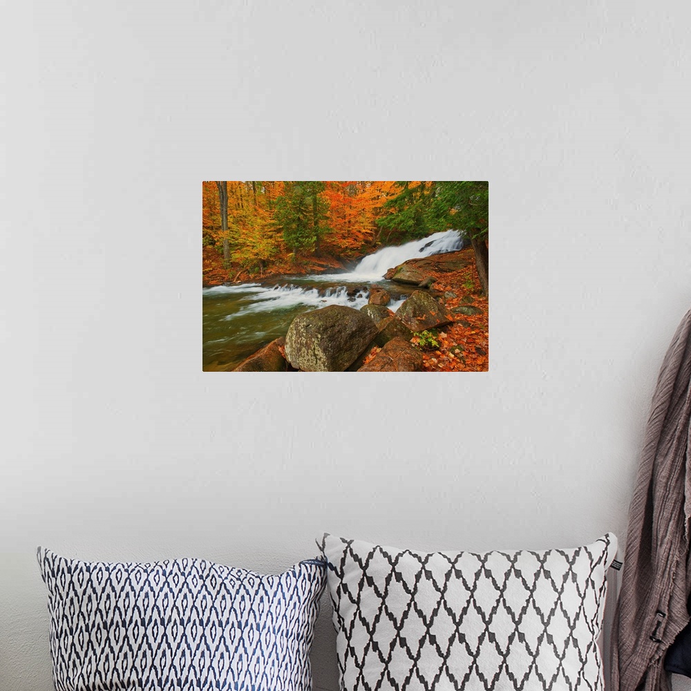 A bohemian room featuring The Skeleton River At Hatchery Falls In Autumn, Rosseau, Ontario, Canada