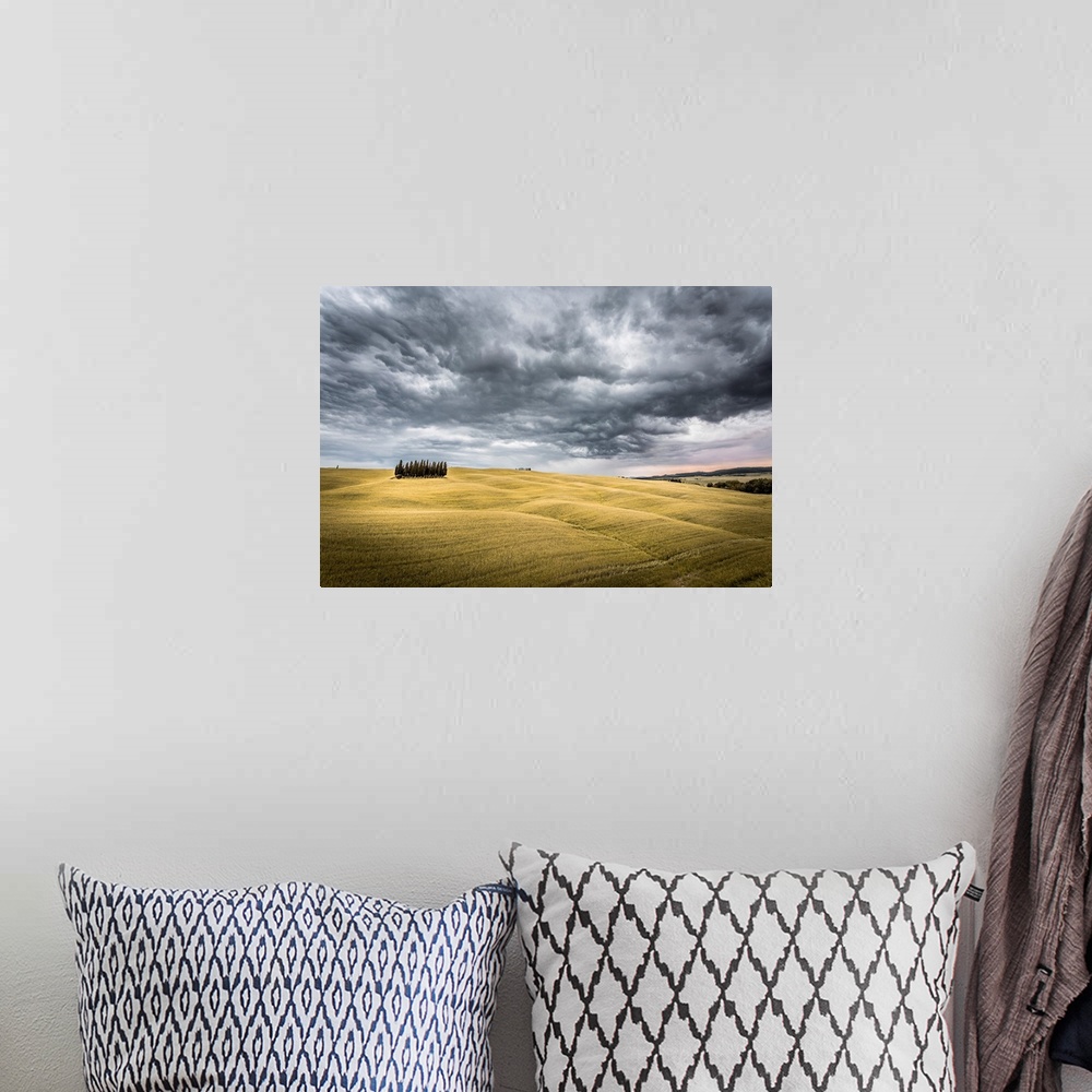 A bohemian room featuring Tuscany, Val d'Orcia, Italy. Cypress trees in a yellow meadow field with clouds gathering.
