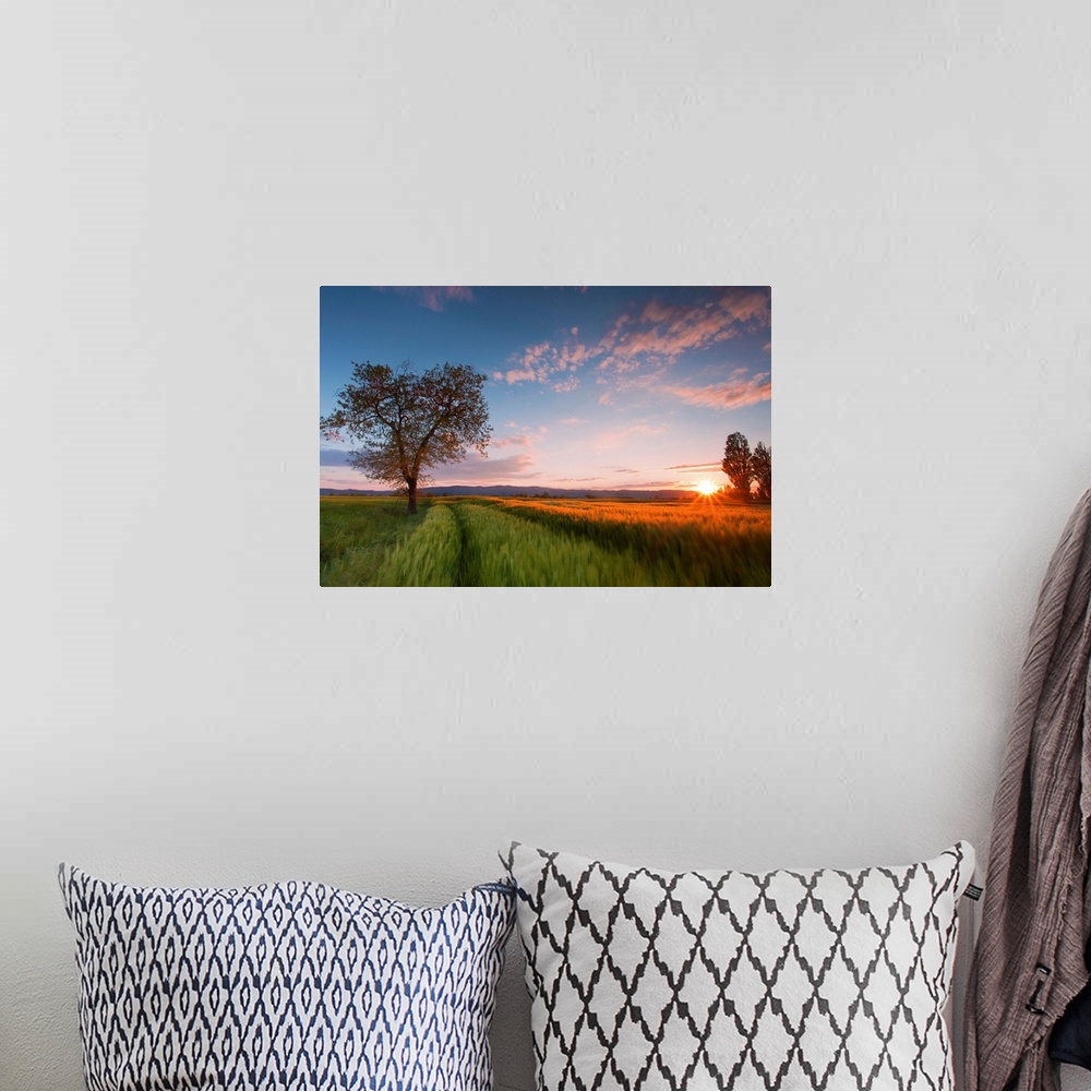 A bohemian room featuring Wheat field at sunset, Foligno, Umbria, Italy.