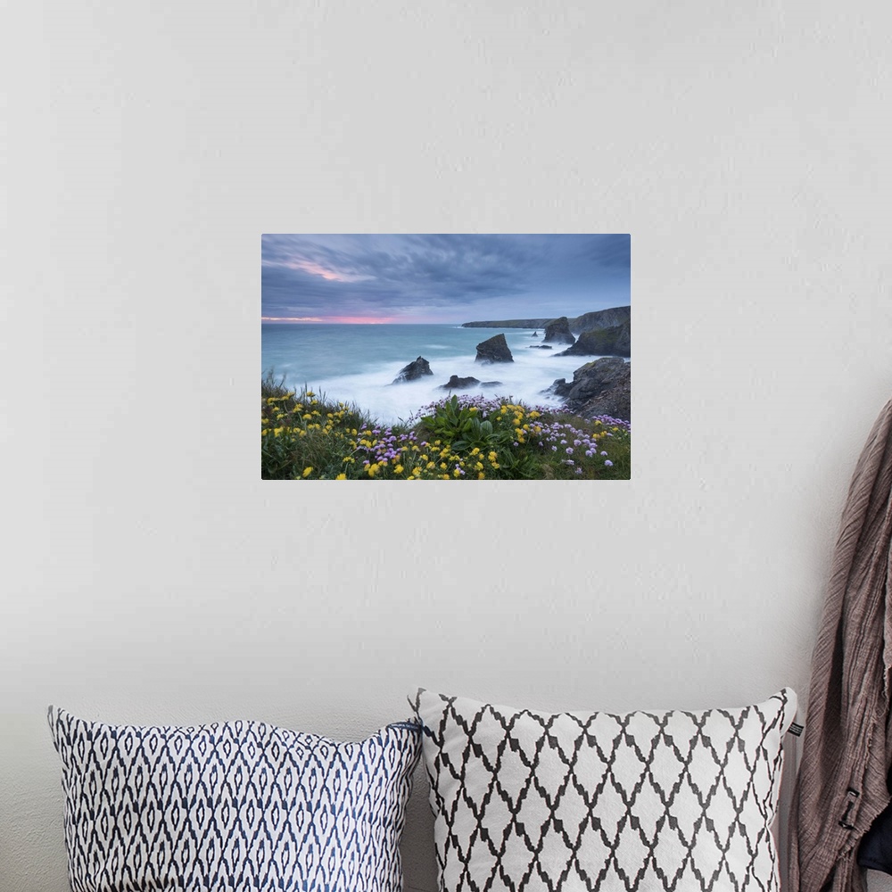 A bohemian room featuring Wildflowers growing on the clifftops above Bedruthan Steps on a stormy evening, Cornwall, England...