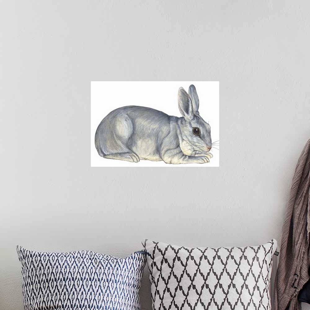 A bohemian room featuring Domestic Rabbit (Oryctolagus Cuniculus)