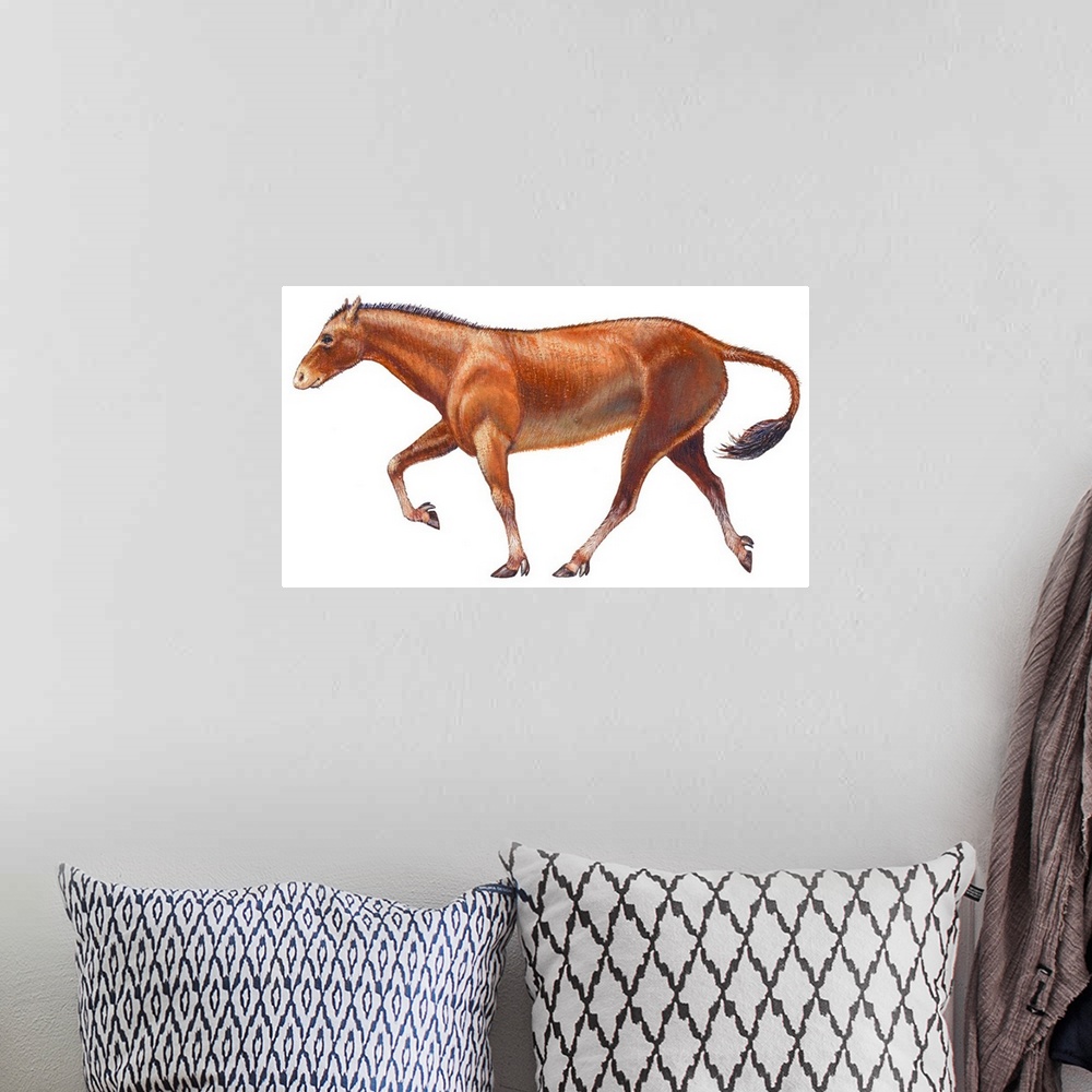 A bohemian room featuring Mesohippus, Extinct Horse