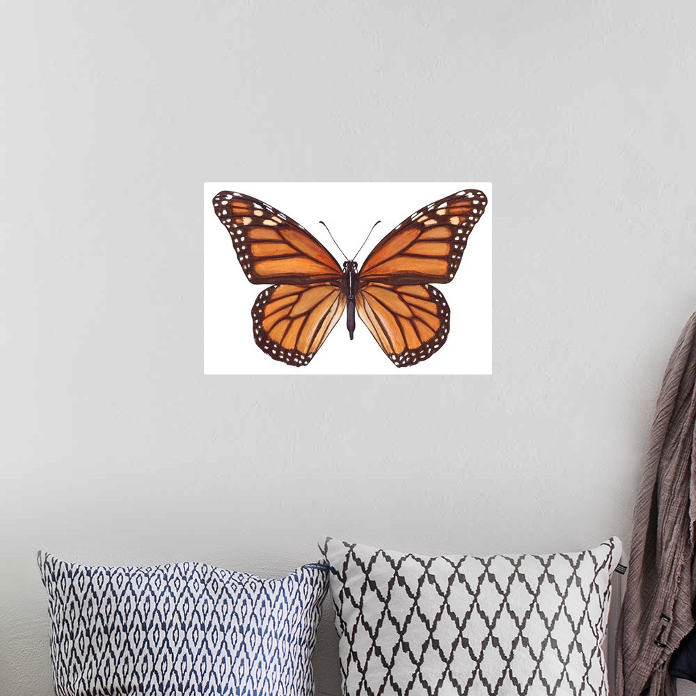 A bohemian room featuring Monarch Butterfly (Danaus Plexippus), Milkweed Butterfly