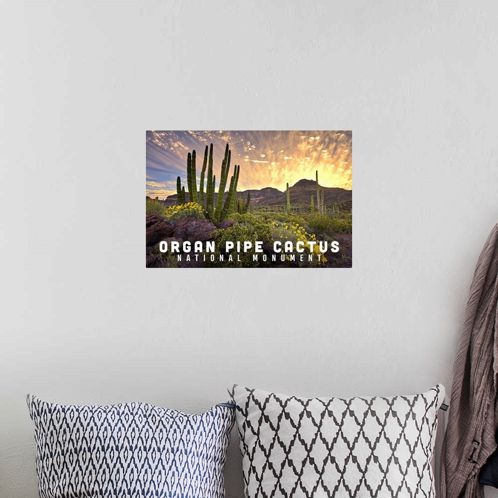 A bohemian room featuring Organ Pipe Cactus National Monument, Arizona - Sunrise