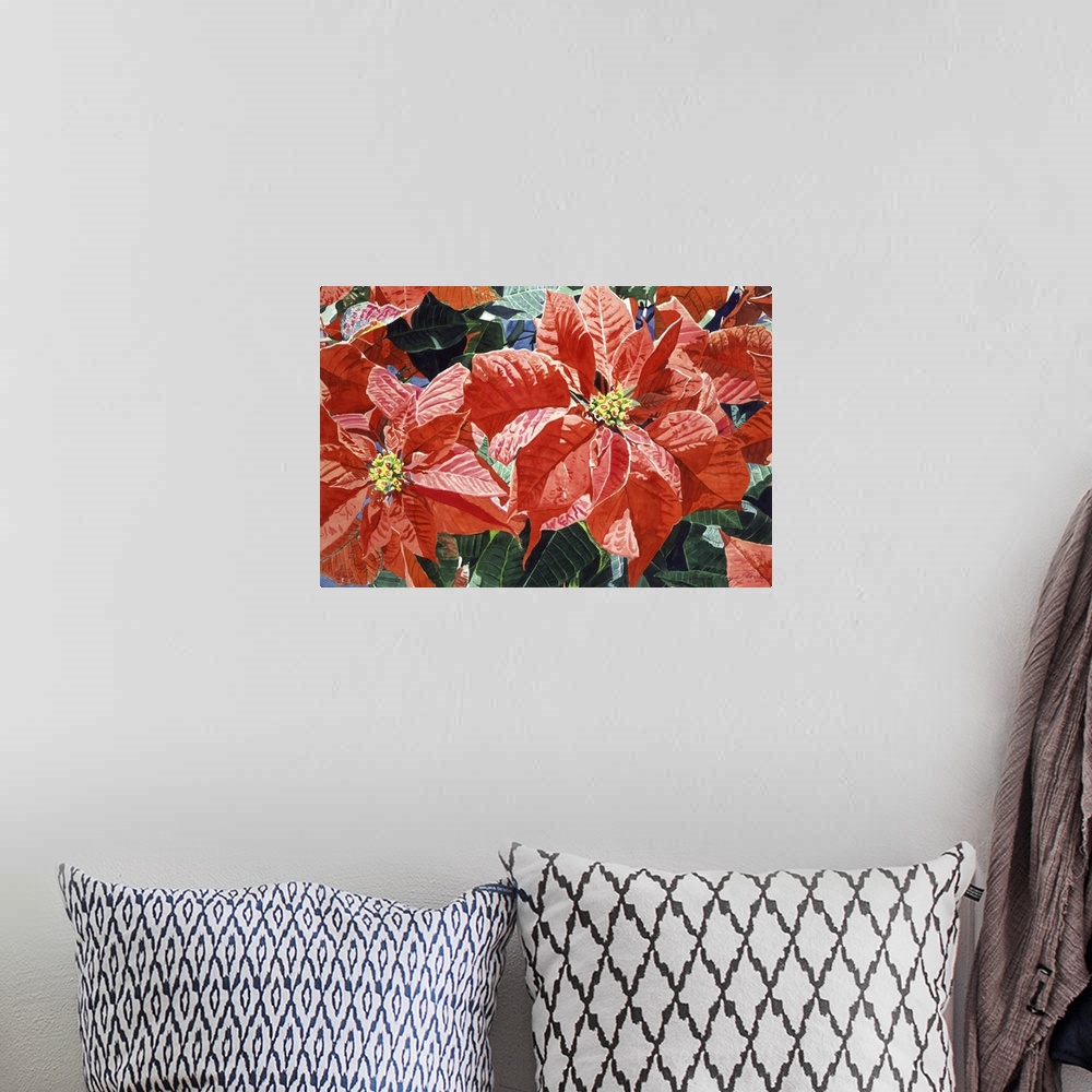 A bohemian room featuring Painting of large poinsettia flowers with broad red petals.