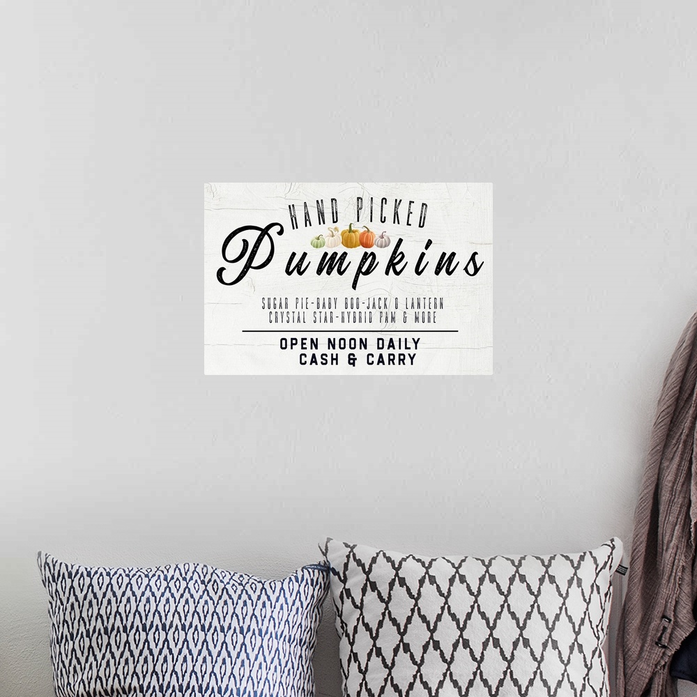 A bohemian room featuring Hand Picked Pumpkin