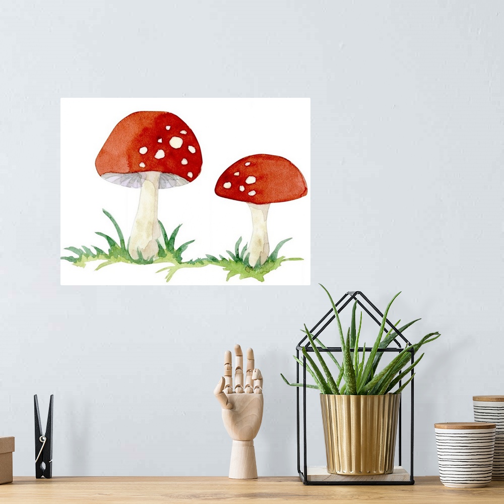A bohemian room featuring Red Mushrooms