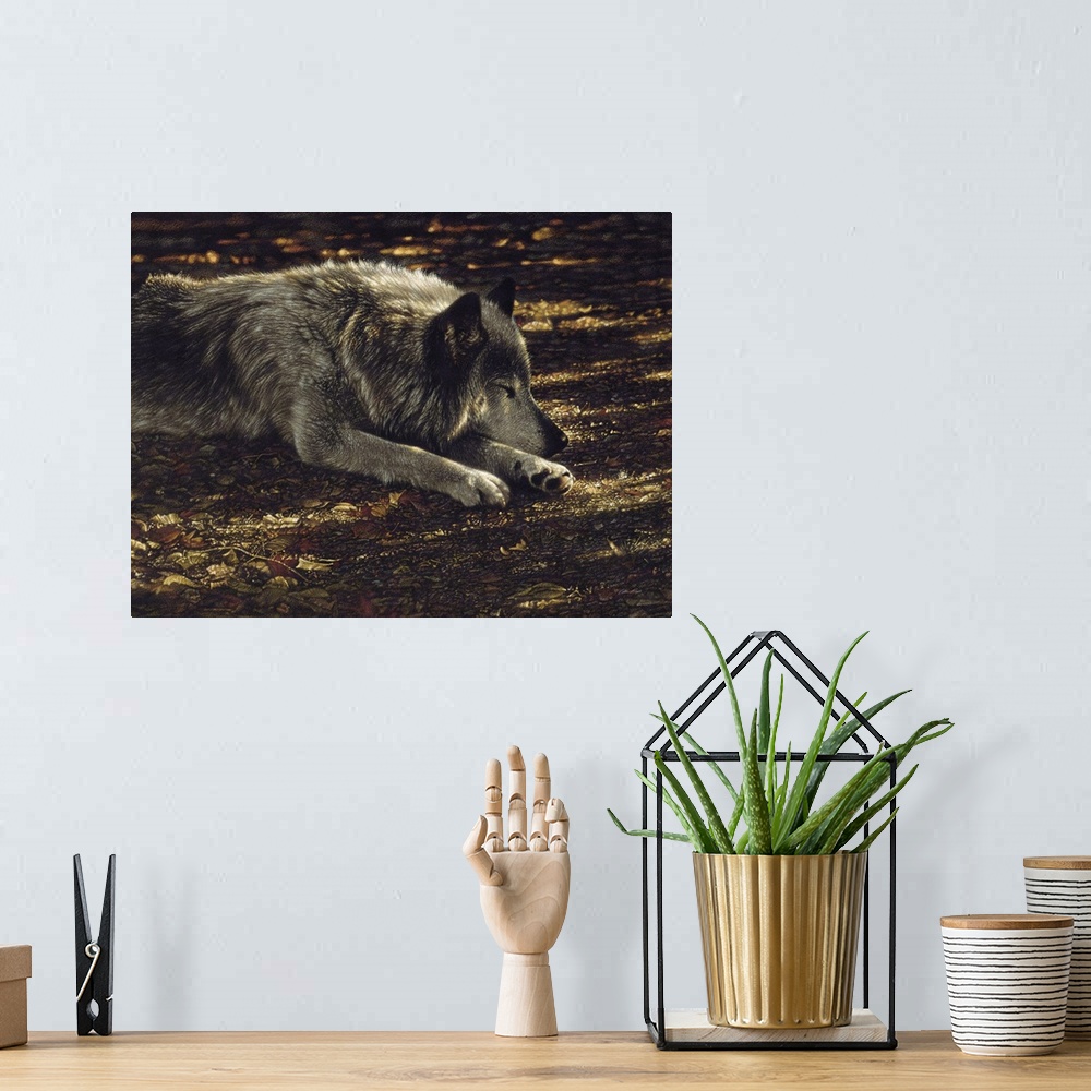 A bohemian room featuring Resting Wolf