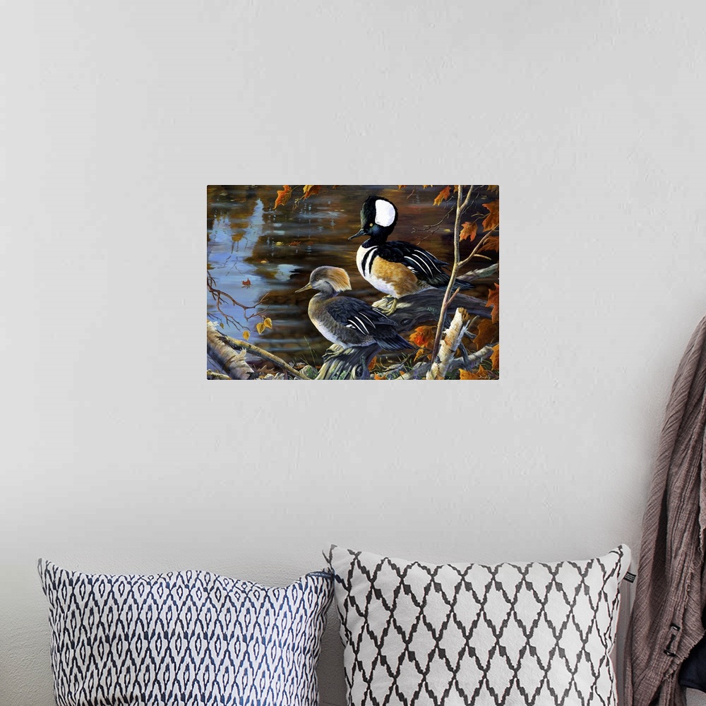 A bohemian room featuring Secluded Shoreline Hooded Mergansers