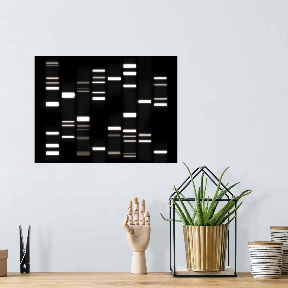 A bohemian room featuring Digital rendering of DNA on a dark background.
