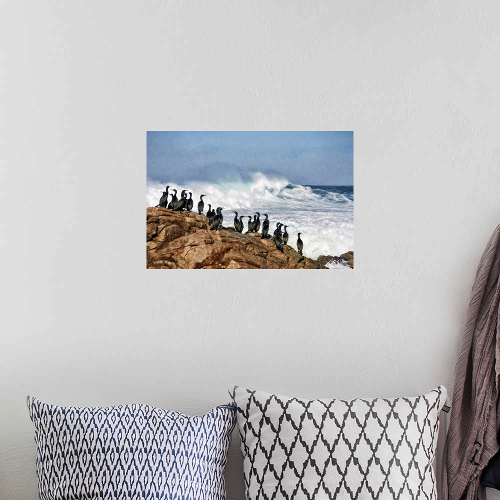 A bohemian room featuring Brandt's cormorants have a front-row view of the spectacular coastline along the 17 Mile Drive in...