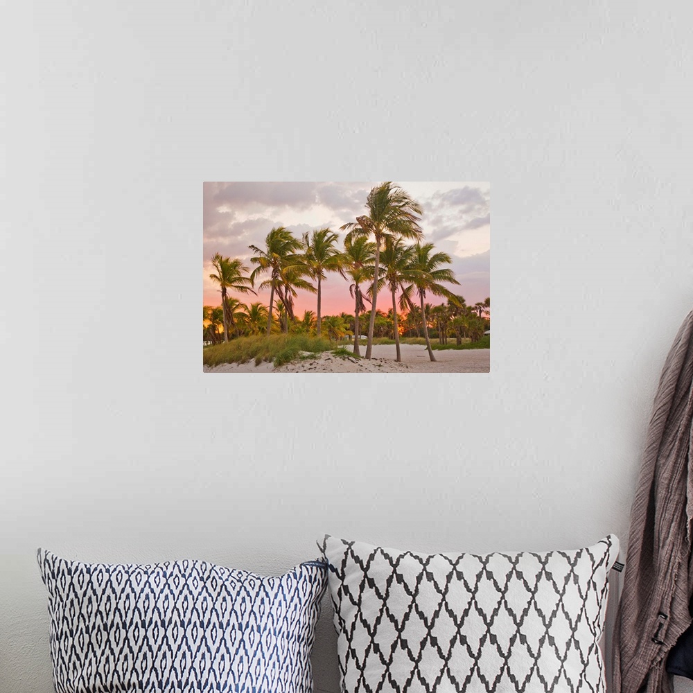 A bohemian room featuring A red glowing sky backlights palm trees at sunset on the beach in Key Biscayne.