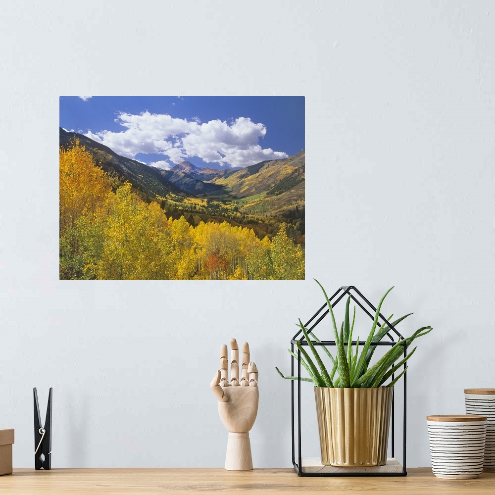 A bohemian room featuring Haystack Mountain with aspen forest, Maroon Bells-Snowmass Wilderness, Colorado