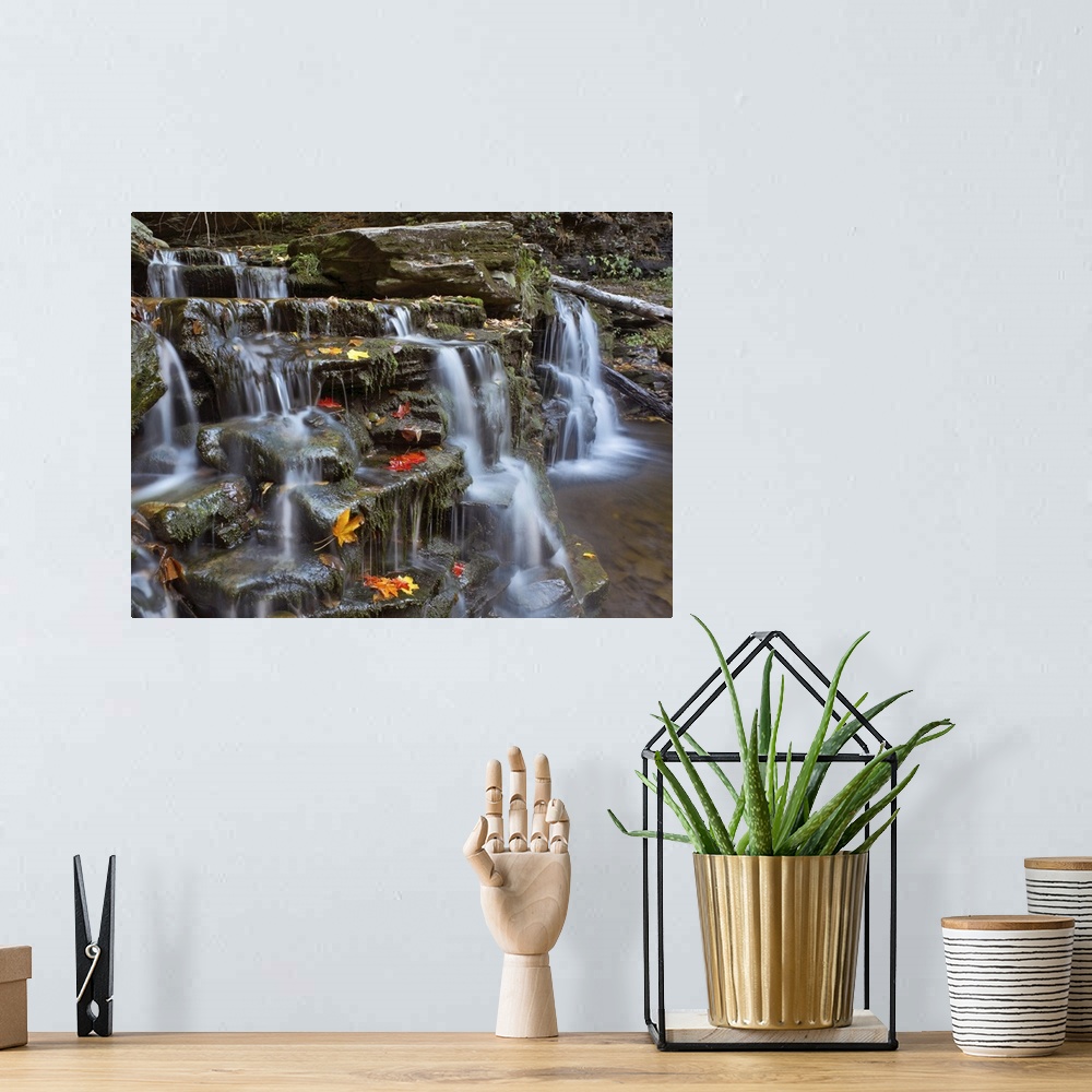 A bohemian room featuring Kitchen Creek cascades, autumn, Ricketts Glen State Park, Pennsylvania